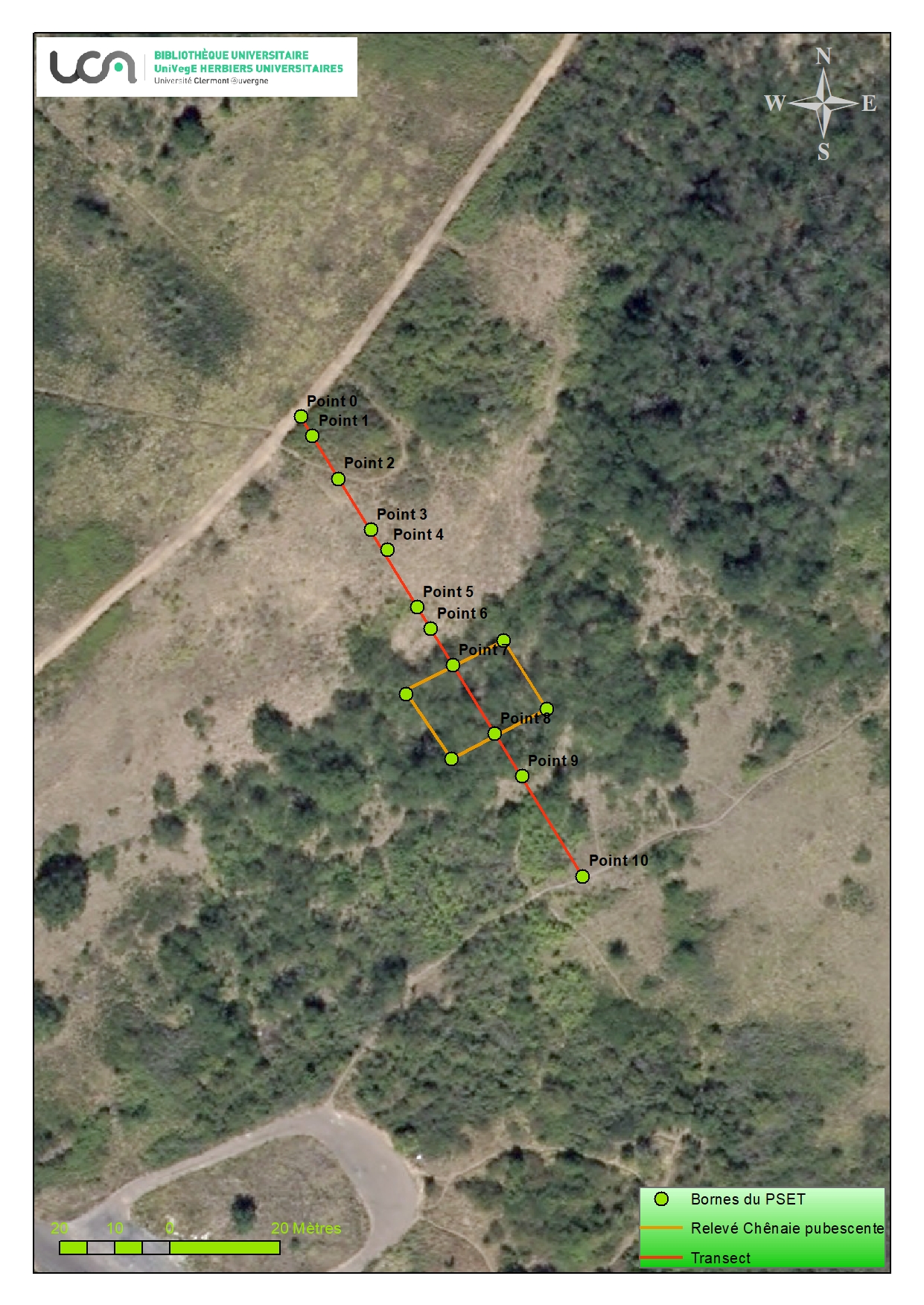 pelouses sur basalte et série de la chênaie pubescente sur le Puy de Var